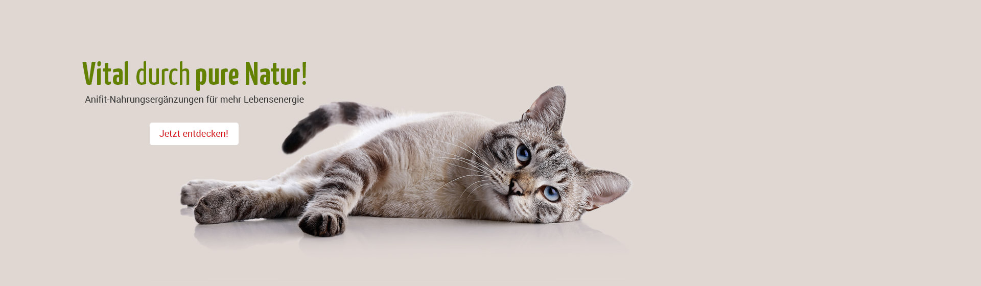 Anifit Nahrungsergänzungen für mehr Lebensenergie